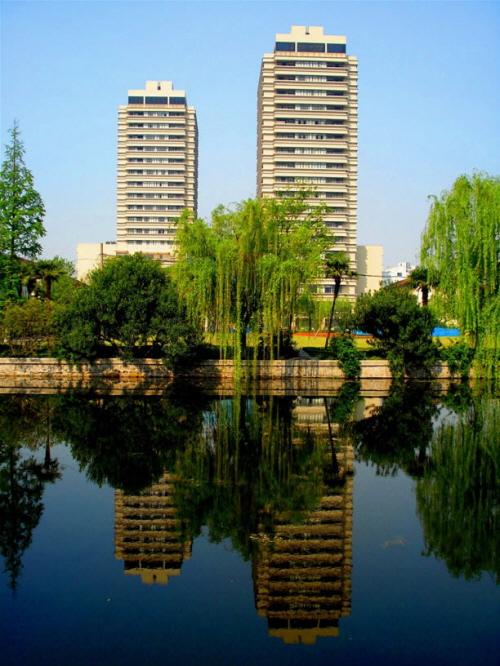 d02.jpg